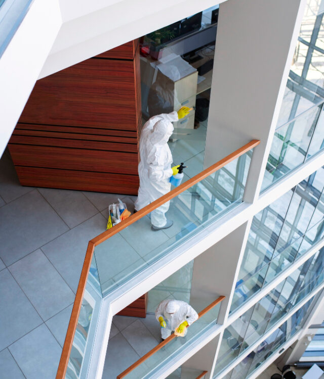 ceradikal entreprise ceradikal entreprise